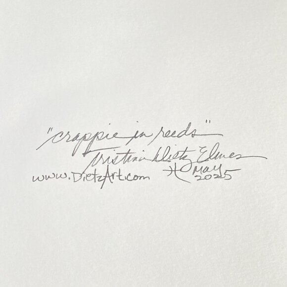 Crappie in Reeds Original Watercolor Wall Art Painting 11x14in Matted FrameReady - Picture 5 of 6